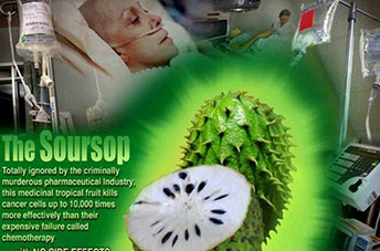 Finally Some Real Proof and a real story about Soursop Cancer Fights!!